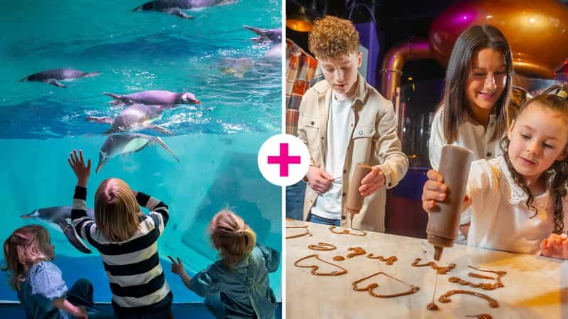 Birmingham: Cadbury World & SEA LIFE Birmingham - Key points at a glance