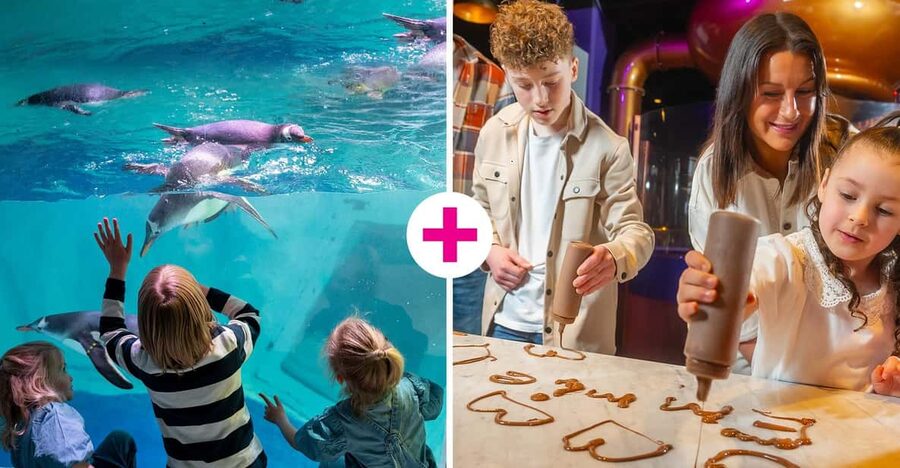 Birmingham: Cadbury World & SEA LIFE Birmingham - Who will enjoy this Birmingham combination?