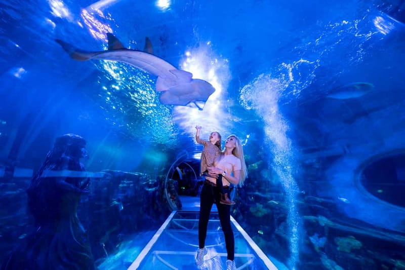 Birmingham: National Sea Life Centre Entrance Ticket - The Interactive Rockpool: a hands-on pause