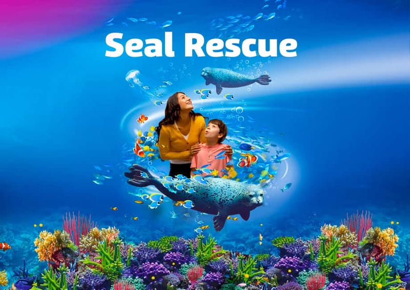 Blankenberge: SEA LIFE Entry Ticket - Key things to know before you go