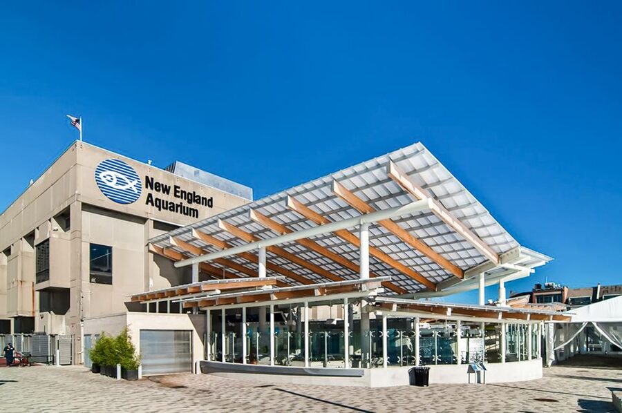 Boston: New England Aquarium Entry + Optional Simons Theatre - Key points to know before you go