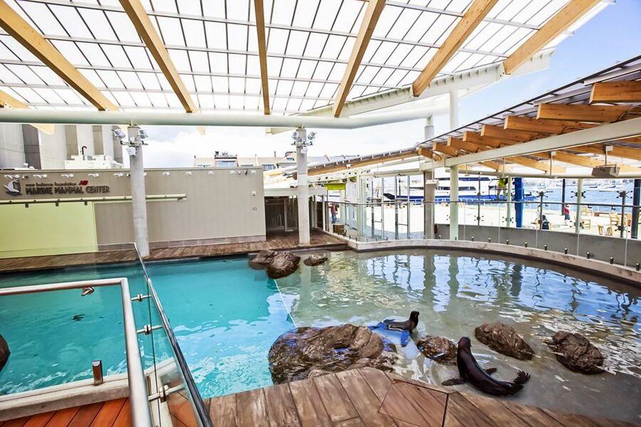 Boston: New England Aquarium Entry + Optional Simons Theatre - Follow the spiral around the Giant Ocean Tank