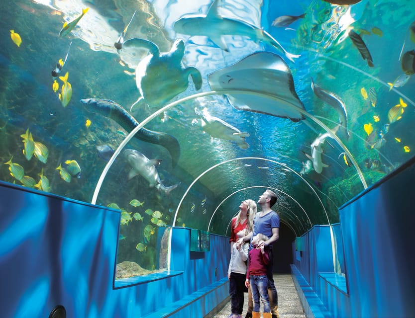 Bournemouth Oceanarium Ticket - Families, toddlers, teenagers, and adults