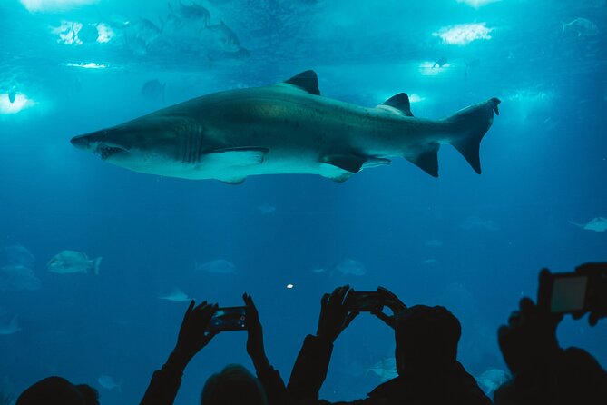 Burj Khalifa and Dubai Aquarium Combo Entrance Ticket - Is $114.29 good value?