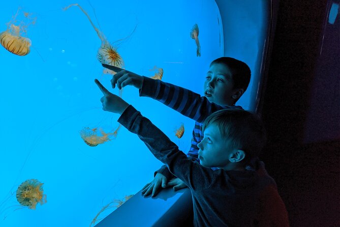 Burj Khalifa and Dubai Aquarium Combo Entrance Ticket - What the ratings tell you about the experience