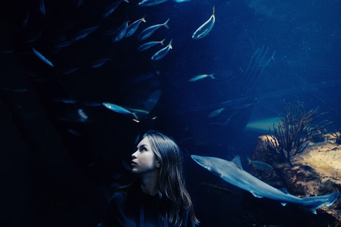 Burj Khalifa and Dubai Aquarium Combo Entrance Ticket - Dubai Aquarium: a compact attraction inside Dubai Mall