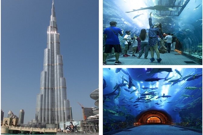 Burj Khalifa and Dubai Aquarium with Penguin Cove Combo - Burj Khalifa levels 124 and 125