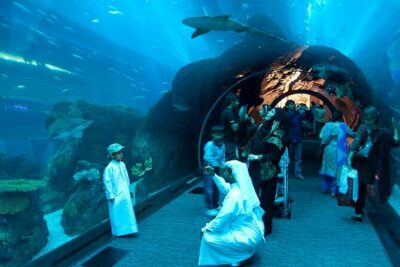 Burj Khalifa and Dubai Aquarium with Penguin Cove Combo