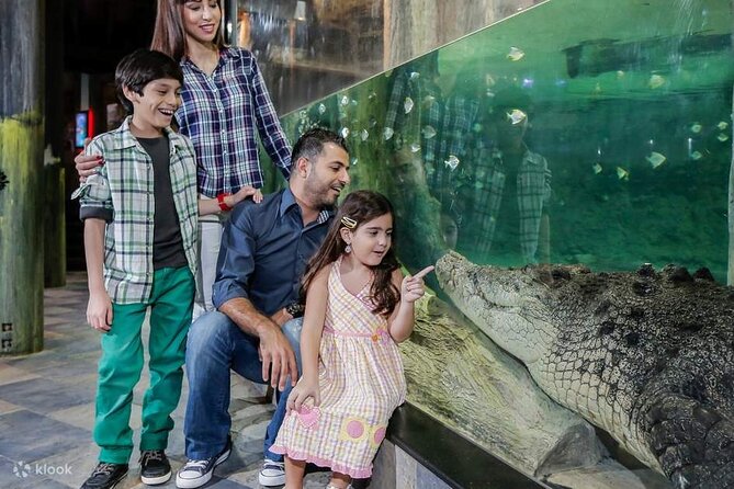 Burj Khalifa and Dubai Aquarium with Penguin Cove Combo - Is $108 a fair price?