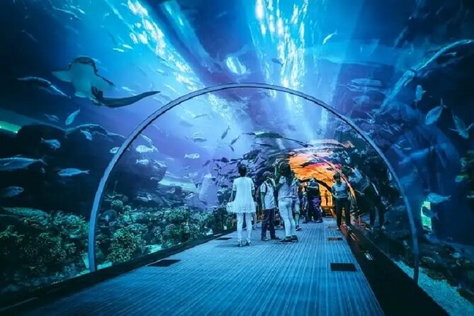 Burj Khalifa and Dubai Aquarium with Penguin Cove Combo - How to plan the three to four hours