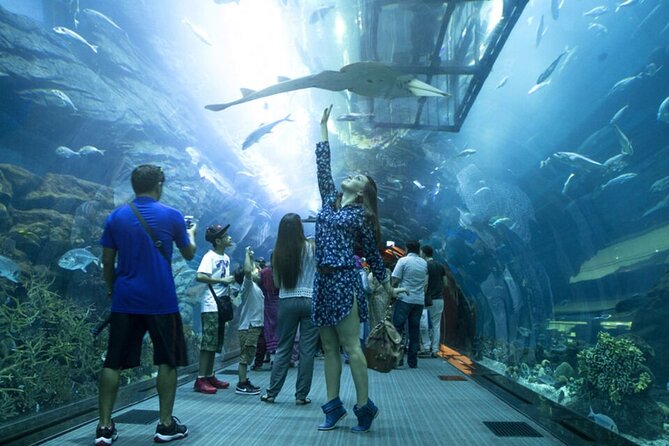 Burj Khalifa and Dubai Aquarium with Penguin Cove Combo - Who will enjoy this combo most?