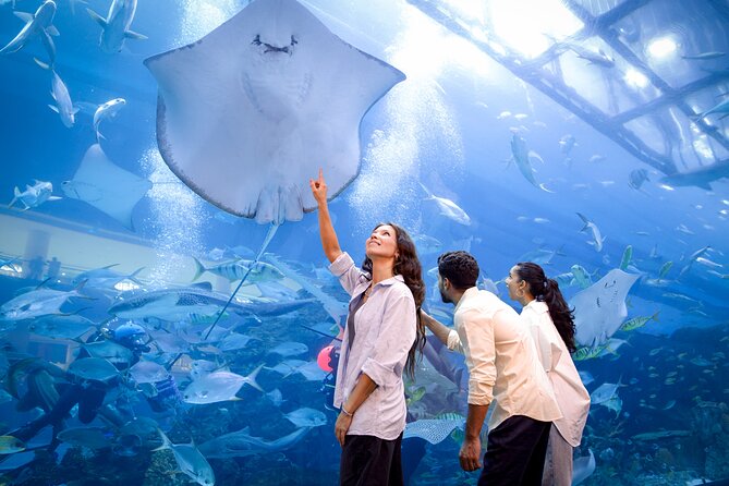Burj Khalifa At the Top & Dubai Aquarium Combo Entrance Tickets - Smart ways to plan the day