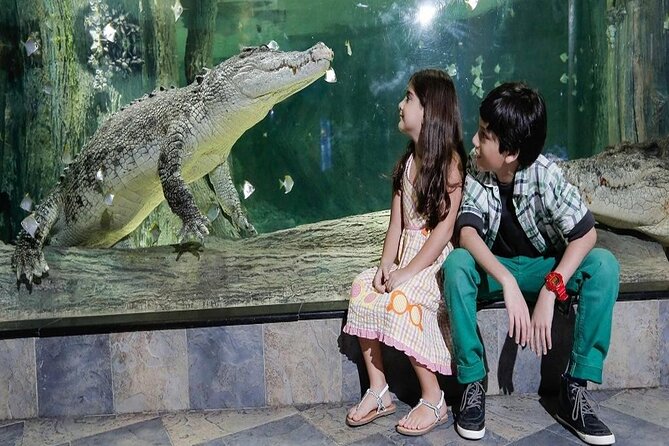Burj Khalifa At The Top & Underwater Zoo Aquarium with Transfer - Who will get the most from this experience?