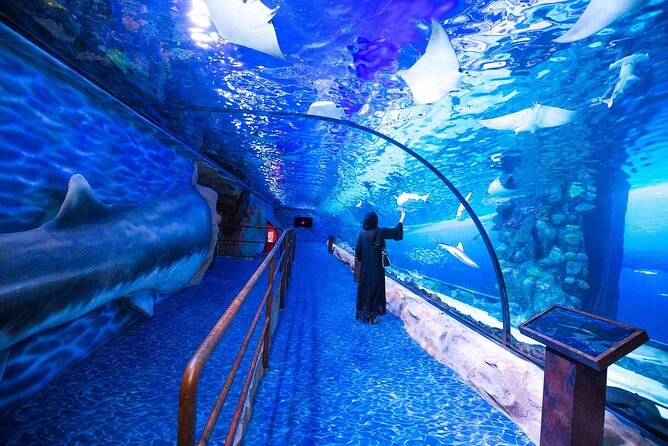 Burj Khalifa, Dubai Aquarium & UWZ with Penguin Cove Tickets - Finding the aquarium inside Dubai Mall