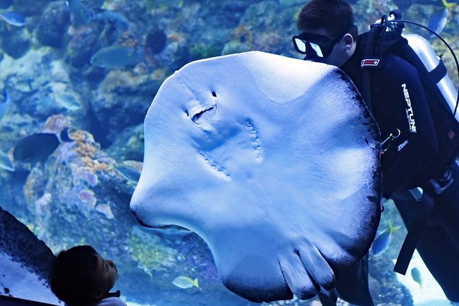 Cairns Aquarium and small group City Sightseeing Tour - Why this Cairns combination tour makes sense