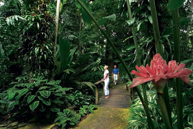 Cairns Aquarium and small group City Sightseeing Tour - Lower Barron Gorge National Park and Surprise Creek Falls