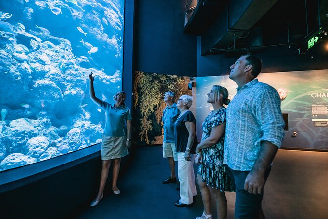 Cairns Aquarium by Twilight Tour - What the wildlife educator adds