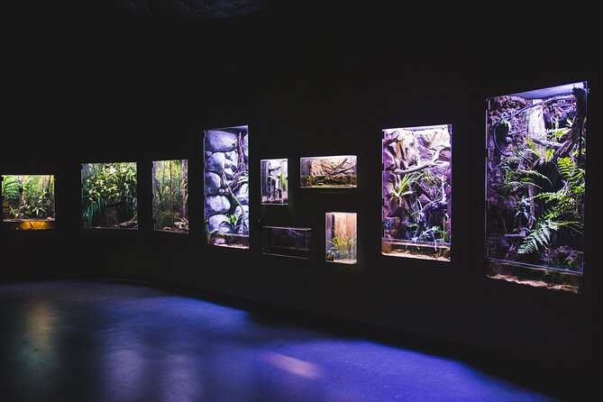 Cairns Aquarium by Twilight Tour - More than 16,000 animals across Queensland habitats