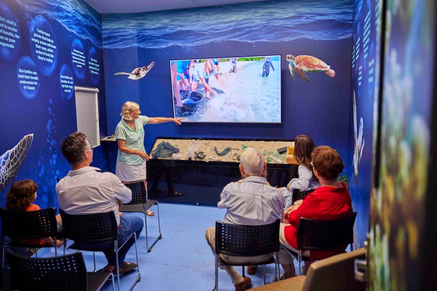 Cairns: Aquarium Entry Ticket and Turtle Rehabilitation Tour - A full day inside Tropical North Queensland