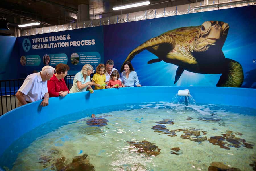 Cairns: Aquarium Entry Ticket and Turtle Rehabilitation Tour - The 10-meter reef tank and Oceanarium