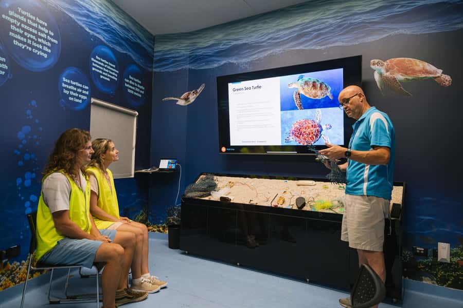 Cairns: Aquarium Entry Ticket and Turtle Rehabilitation Tour - What happens during the turtle rehabilitation tour