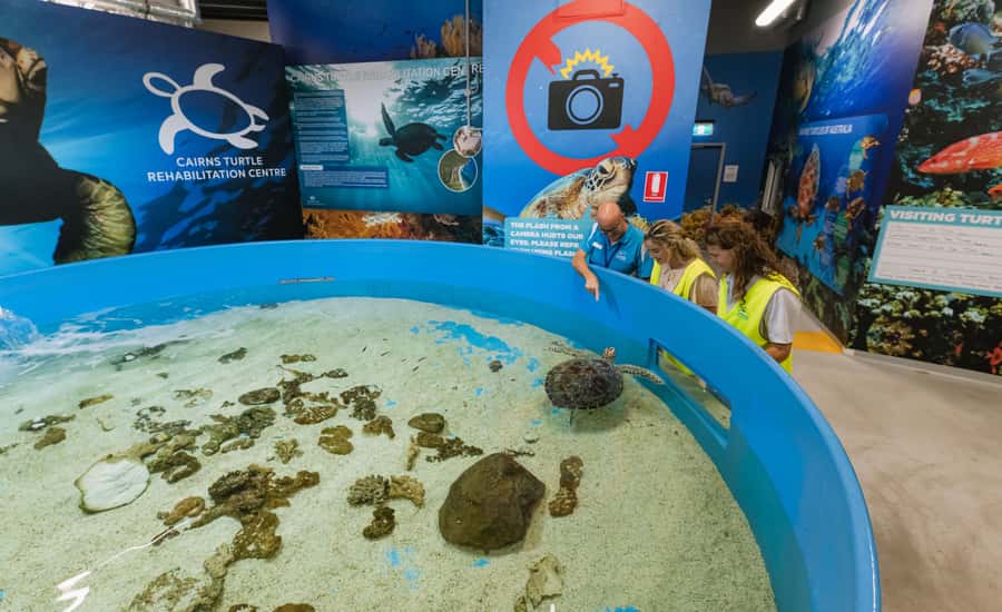 Cairns: Aquarium Entry Ticket and Turtle Rehabilitation Tour - The 11 zones and 71 habitats