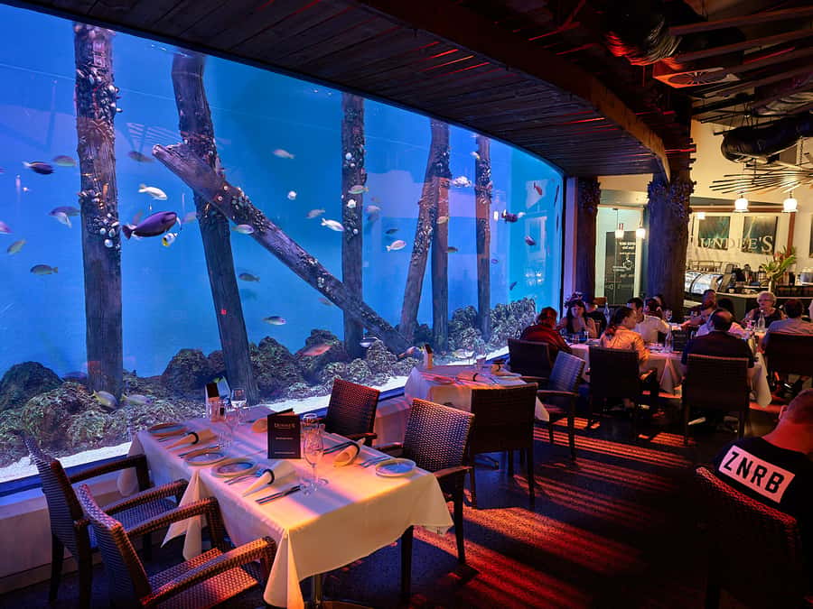 Cairns Aquarium General Admission Ticket - Starting in Cairns, not out on the reef