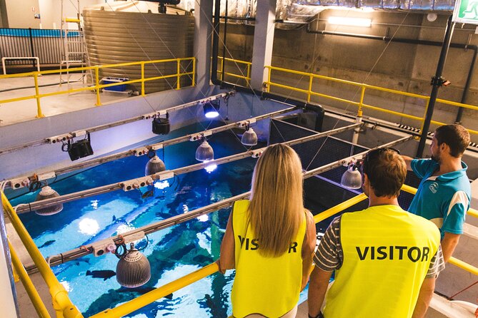 Cairns Aquarium Marine Life Encounter Ticket - Five details that make this aquarium visit different