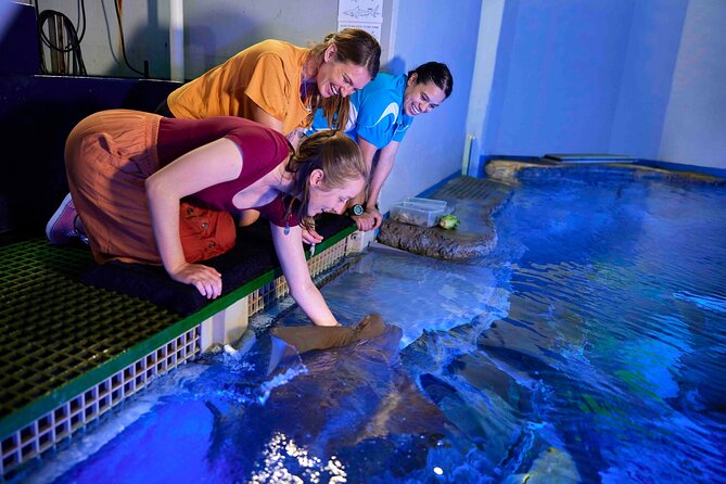Cairns Aquarium Marine Life Encounter Ticket - Reptile breeding behind the scenes