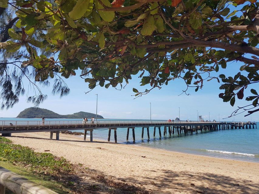 Cairns Aquarium Turtle Hospital and City Sightseeing Tour - The 12:45pm city tour pickup