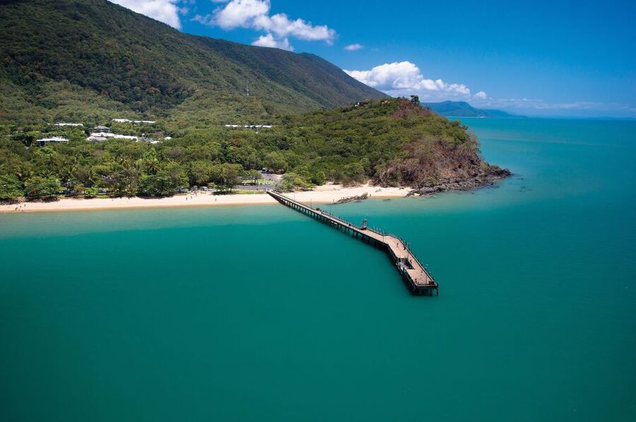 Cairns Aquarium Turtle Hospital and City Sightseeing Tour - Palm Cove and the northern beaches