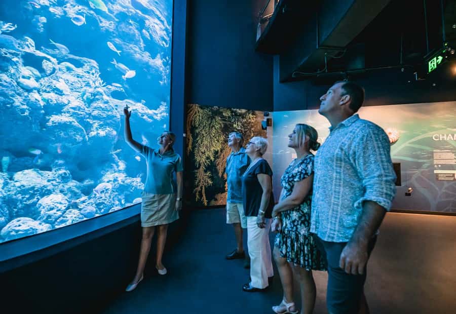 Cairns: Night at the Aquarium Guided Tour & 2 Course Dinner - Following ten tropical ecosystems with a Wildlife Educator
