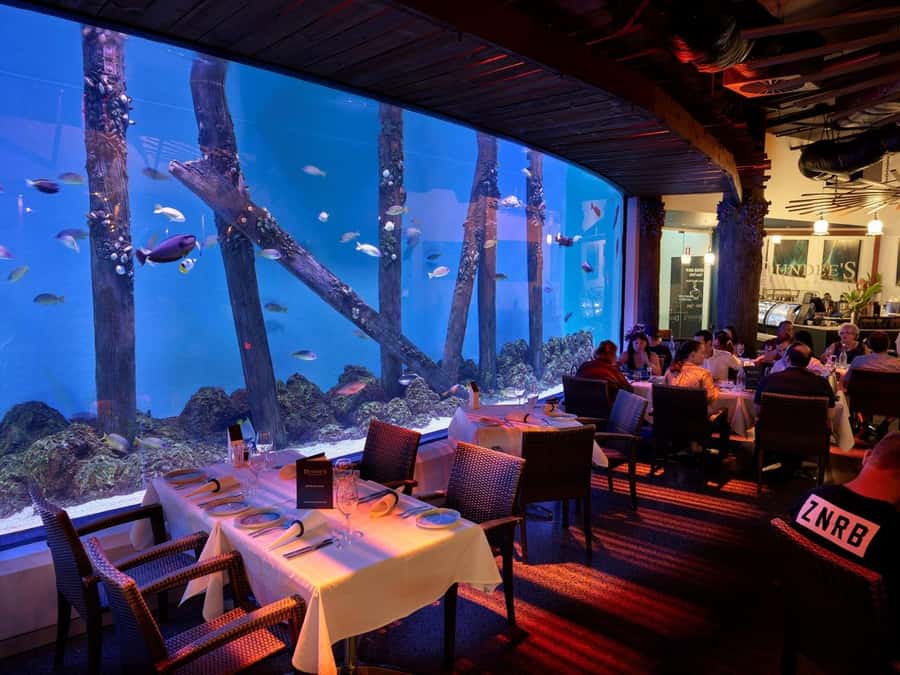 Cairns: Night at the Aquarium Guided Tour - Rivers, rainforest, and mangroves in one guided route