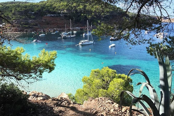 Cala Salada and Unspoiled North Beach Tour. Snorkelling and Aquarium - Aquarium Cap Blanc inside a sea cave