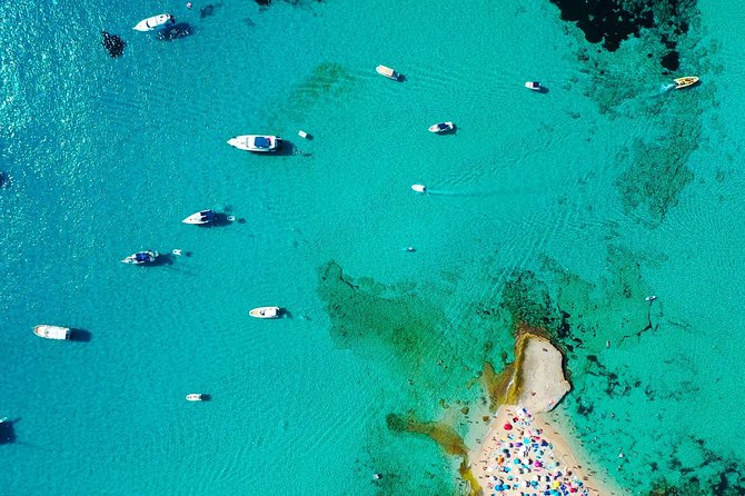 Cala Salada and Unspoiled North Beach Tour. Snorkelling and Aquarium - Passing Cala Gracio and the island’s old-school coast