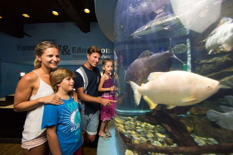 Cancún: Interactive Aquarium Admission - Key points to know before you go