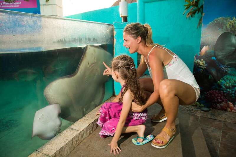 Cancún: Interactive Aquarium Admission - What the $17 admission really gets you