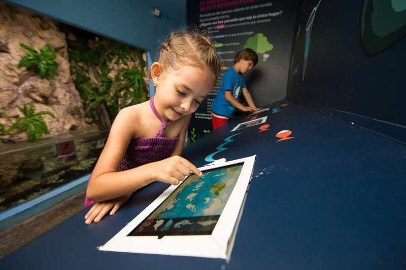 Cancún: Interactive Aquarium Admission - The first look at freshwater and saltwater fish