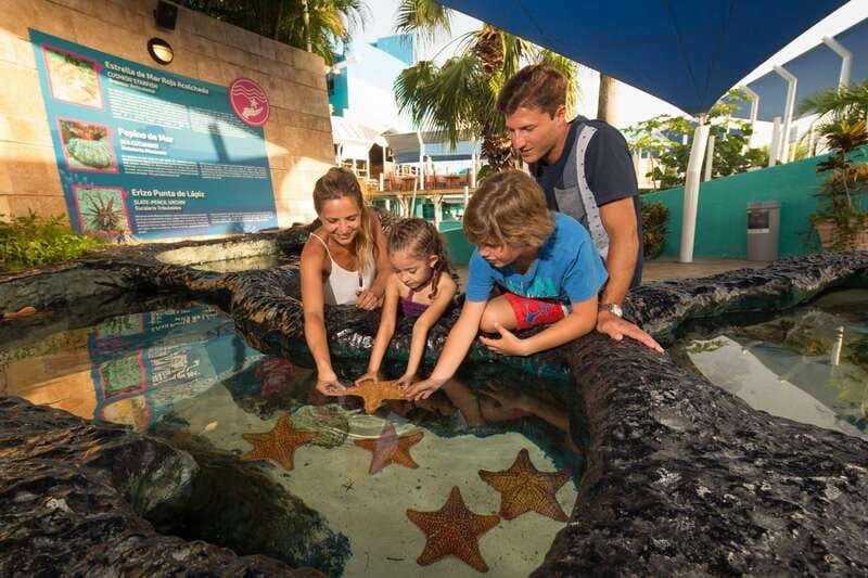 Cancún: Interactive Aquarium Admission - Why the touch tanks matter