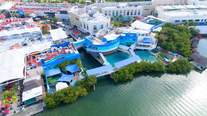 Cancún: Interactive Aquarium Admission - The axolotl exhibit and iPad zone