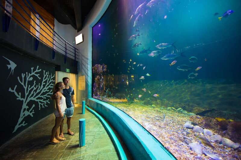 Cancún: Interactive Aquarium Admission - Dolphins, sea lions, and the limits of basic admission