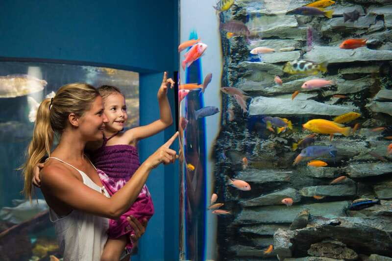 Cancún: Interactive Aquarium Admission - How long you should plan to stay