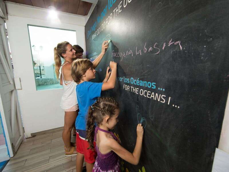 Cancún Interactive Aquarium Admission + Dolphin Presentation - Touch tanks with rays, starfish, and sea urchins