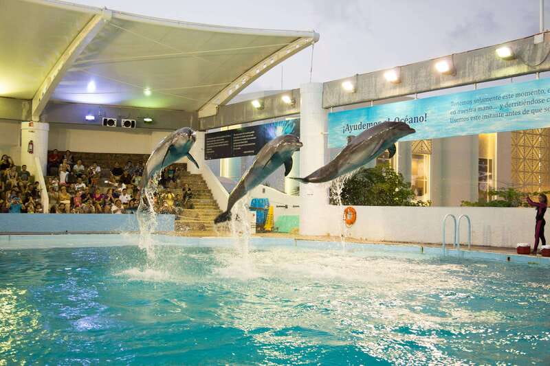 Cancún Interactive Aquarium Admission + Dolphin Presentation - Entering through Plaza La Isla Shopping Center