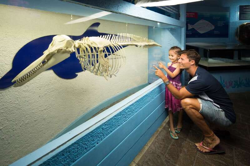 Cancún: Interactive Aquarium Admission - Starting inside Plaza La Isla