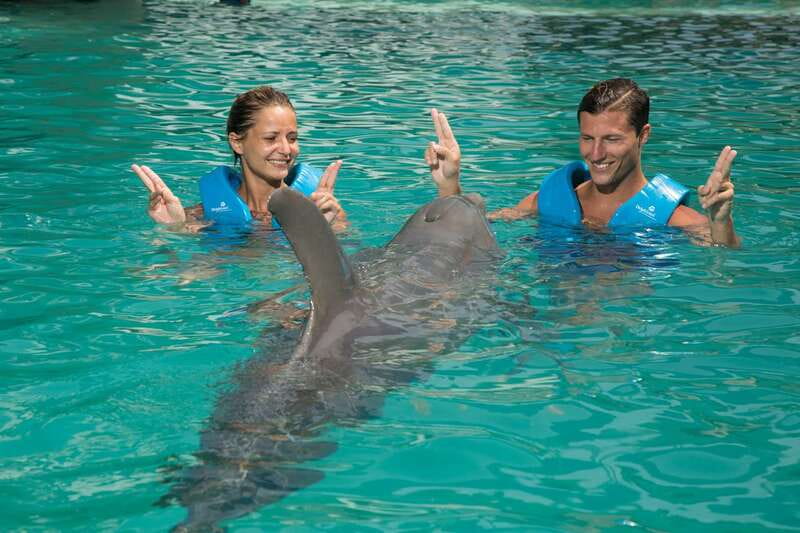 Cancun: Interactive Aquarium - Swim with dolphins Premium - Key points to know before booking