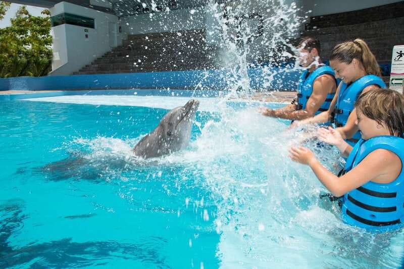 Cancun: Interactive Aquarium - Swim with dolphins Premium - Starting inside Plaza La Isla