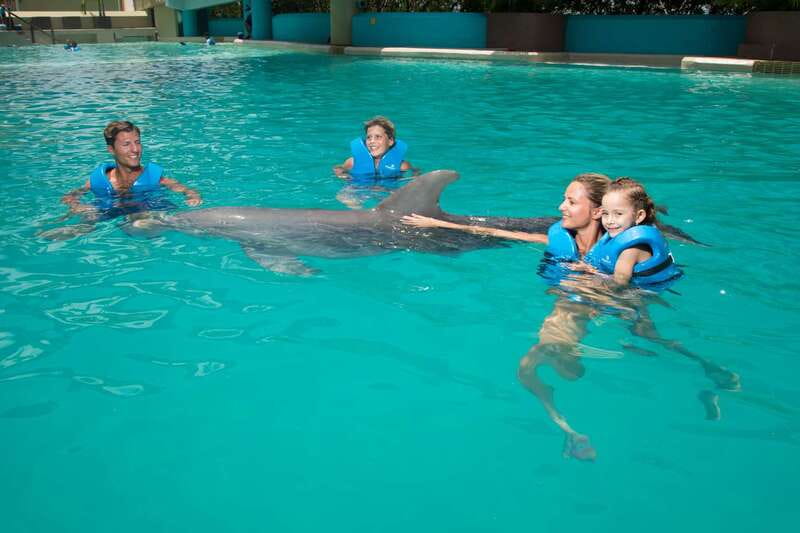 Cancun: Interactive Aquarium - Swim with dolphins Premium - Forty-five minutes with the dolphins