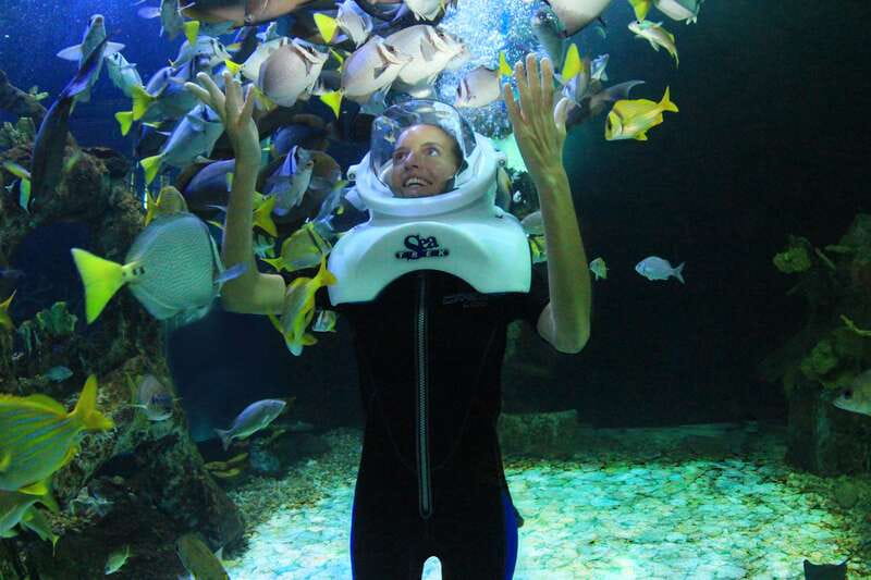 Cancun: Interactive Aquarium - Swim with dolphins Premium - Aquarium Trek feels like a moon walk
