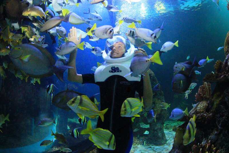 Cancun: Interactive Aquarium - Swim with dolphins Premium - Who will enjoy this most?